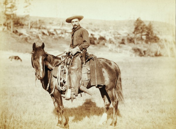 Photograph shows side view of a cowboy on a horse, looking towards the camera 1888.