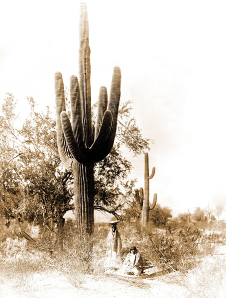 Edward S. Curits Native American Indians - Two Pina women harvesting saguaro cactus fruit, Arizona circa 1907.