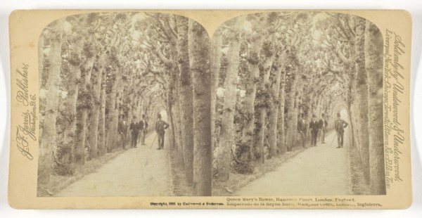 1892 Art Work -  Queen Mary's Bower; Hampton Court; London; England - Underwood & Underwood (Publisher).