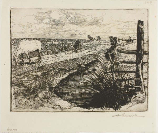 1892 Art Work -  Road in the Marais; Vendee - Louis Auguste Lepère.