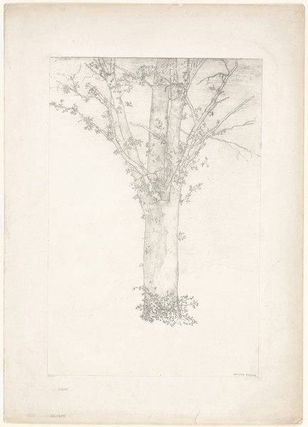 1892 Art Work -  Tree -  Odilon Redon.