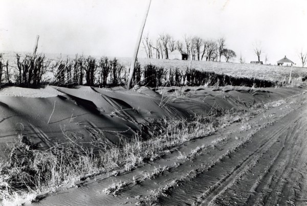 Dust Bowl 4