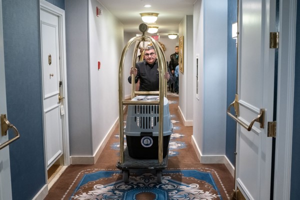 The Presidential Turkeys arrive at The Willard Hotel in Washington