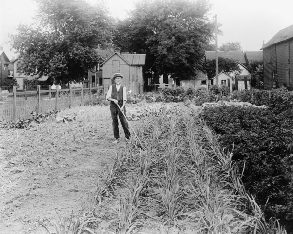 Man standing in a War Garden