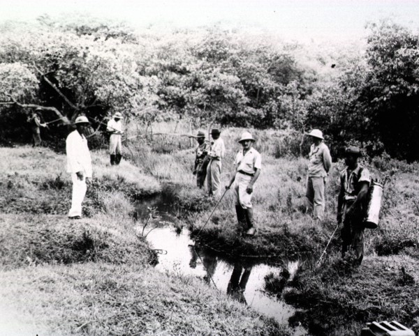 Malaria control unit no. 202 sprays the swamps in Brazil