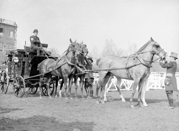 Adolphus Busch III at a horse show