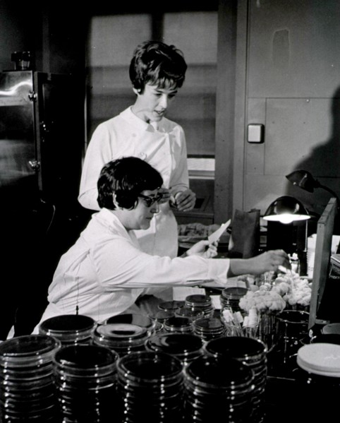 Two female medical technicians
