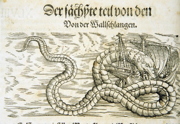 Woodcut illustration of a gigantic snake