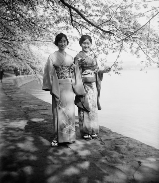 Japanese women and cherry blossoms