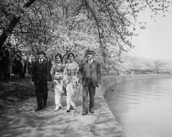 Japanese men and women and cherry blossoms