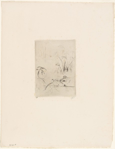 The Duck  - 1889