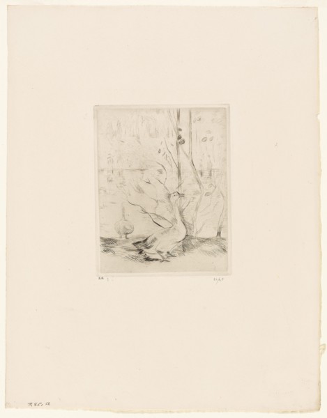 The Goose - 1889