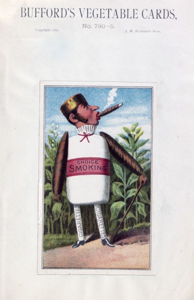 Bufford's vegetable cards