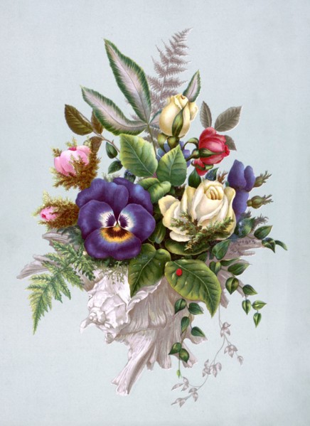 19th century illustrations