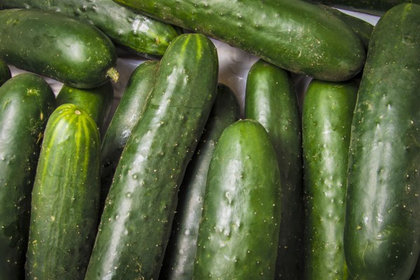 Close up of vegetables