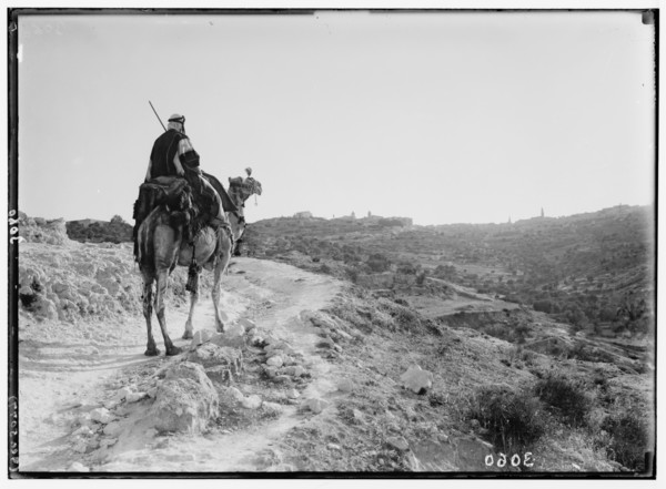 Man riding a camel on the road to Bethlehem as he approaches the city at twilight ca. 1920