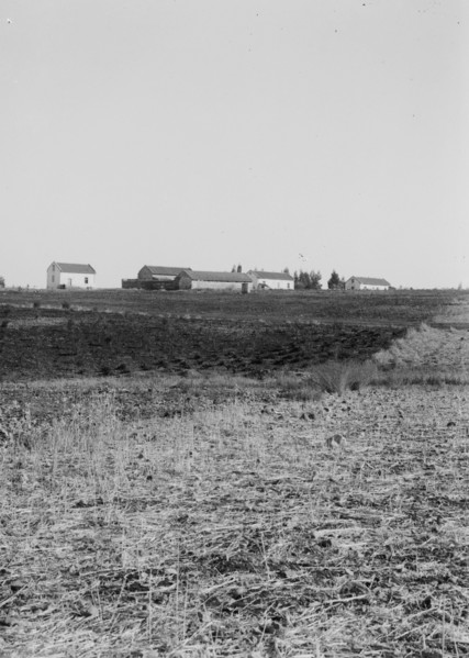 Buildings in the settlement of Ain Zeitoun or Ein al-Zeitun ca. 1920