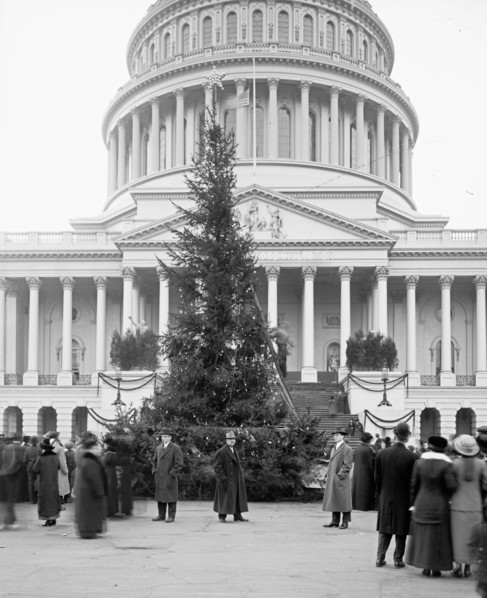 Community Christmas tree in front of the U.S. Capitol, Washington, D.C.] ca.  between 1910 and 1925