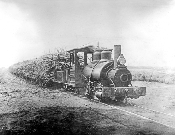 Trainload of Sugar Cane en route to the factory Peru ca.  between 1910 and 1935