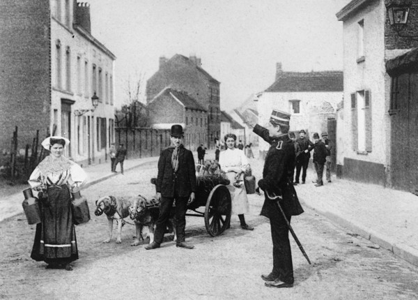 Daily life in Antwerp, Belgium, muzzled dogs pulling a small cartca. between 1909 and 1919
