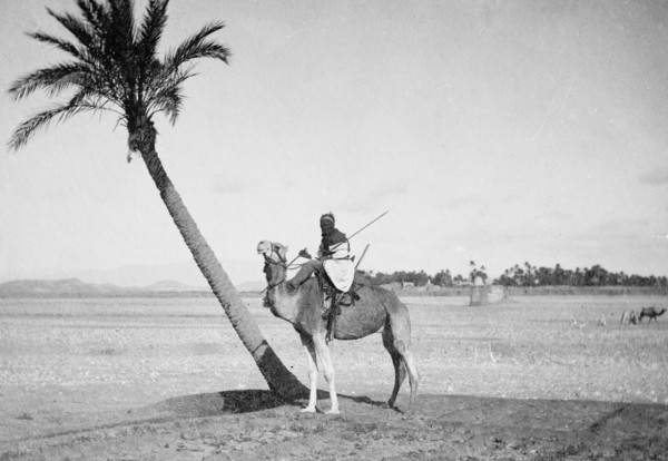 A Sahara traveler riding on a camel ca.  between 1918 and 1928