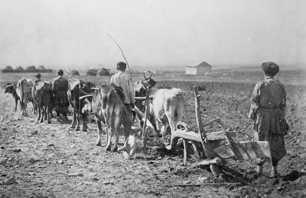 Farmers at work plowing fields in the northern Caucasus Mountains ca.  between 1918 and 1921