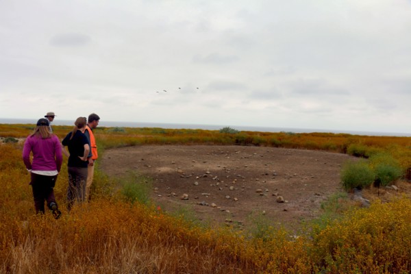 Dry vernal pool at Camp Pendleton ca. 7 June 2017