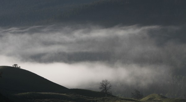 Low clouds in Soda Butte Valley in Yellowstone National Park; Date: 13 June 2015