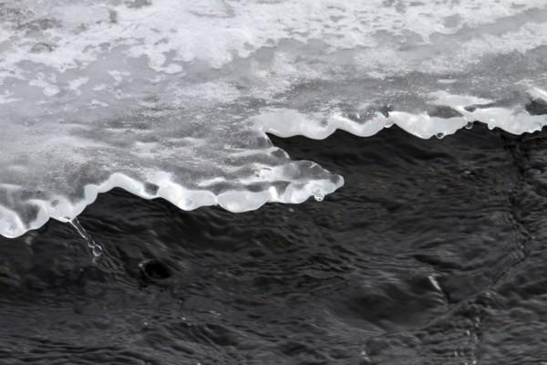 Ice shelf above Soda Butte Creek in Yellowstone National Park; Date: 9 January 2013