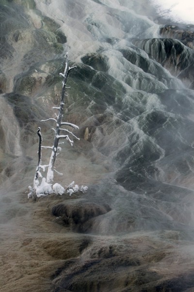 Palette Spring at Mammoth Hot Springs in Yellowstone National Park; Date: 29 December 2014