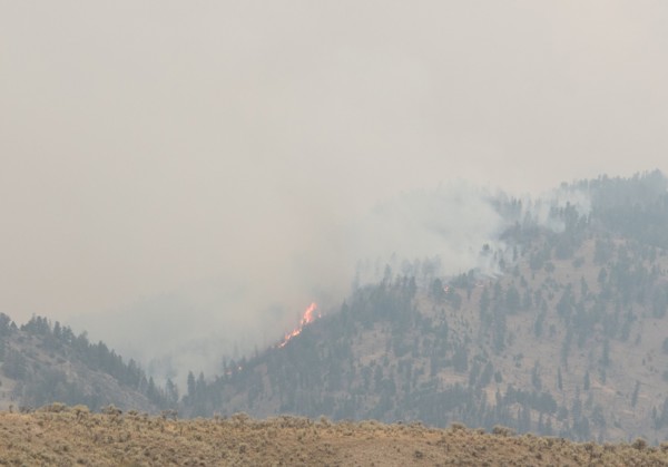 Buffalo Fire near Slough Creek in Yellowstone National Park; Date: 30 August 2016