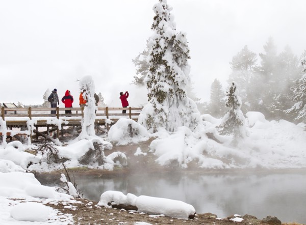 Visitors and ghost trees at Fountain Paint Pot in Yellowstone National Park; Date: 19 January 2016