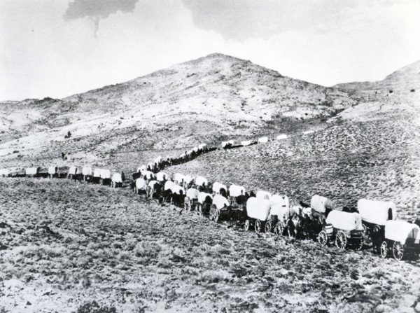 Wending their way through valley
