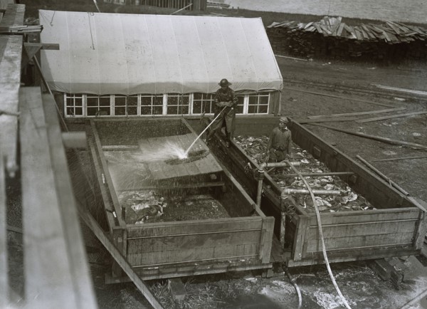 Hosing skins