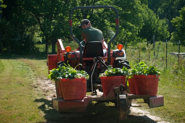 2011 USDA Visit to Amy's Organic Garden in Charles City