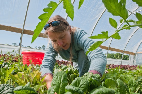 2011 USDA Visit to Amy's Organic Garden in Charles City