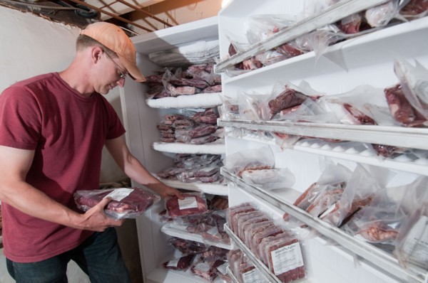 A farmer takes inventory of beef