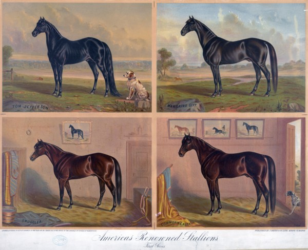 Americas renowned stallions ca 1876