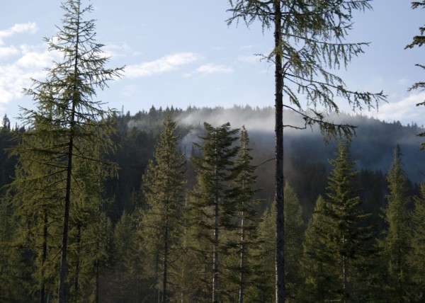 August 2011 Washington State Wildfires