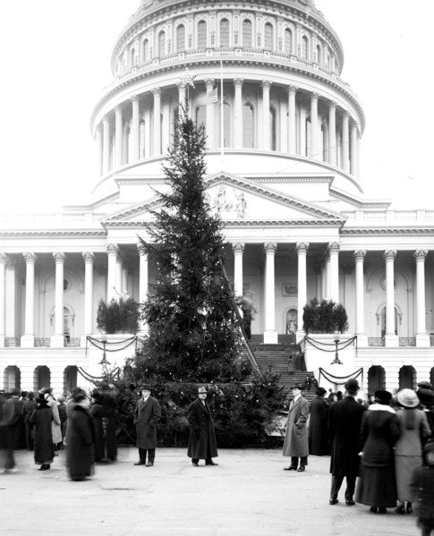 Community Christmas tree