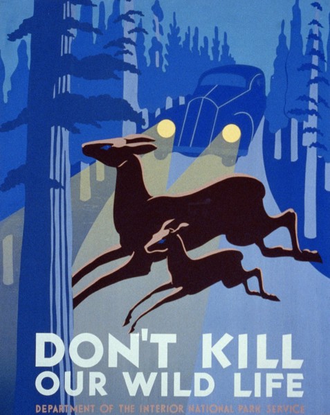 Don't kill our wild life