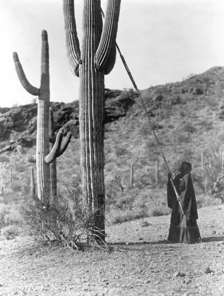 Edward S. Curtis Native American Indians