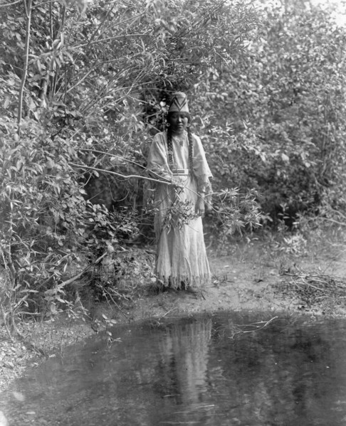 Edward S. Curtis Native American Indians
