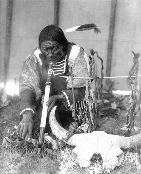 Edward S. Curtis Native American Indians