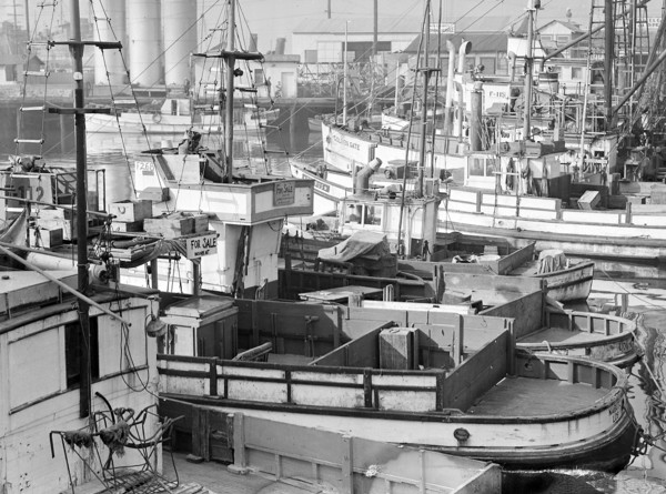 Fishing boats