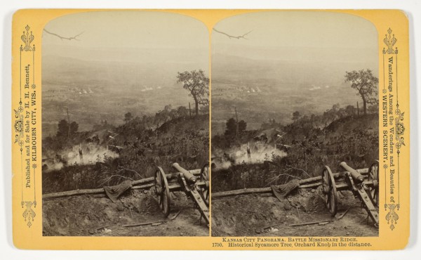 Historical Sycamore Tree; Orchard Knob in the distance