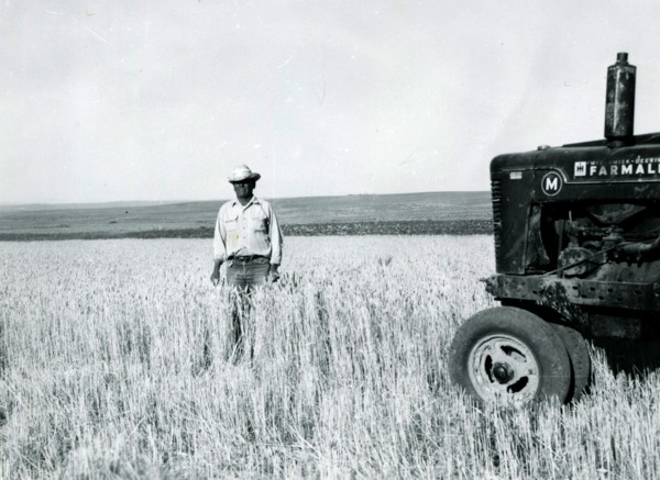 Man in Field with McCormick