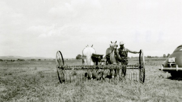 Man With Horse Drawn Farm Equipment ca 1948