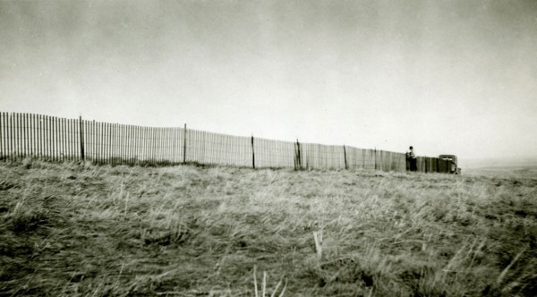 Man Working on Fence ca 1947