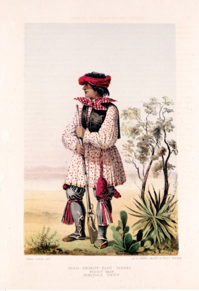 Noco-shimatt-tash-tanaki
